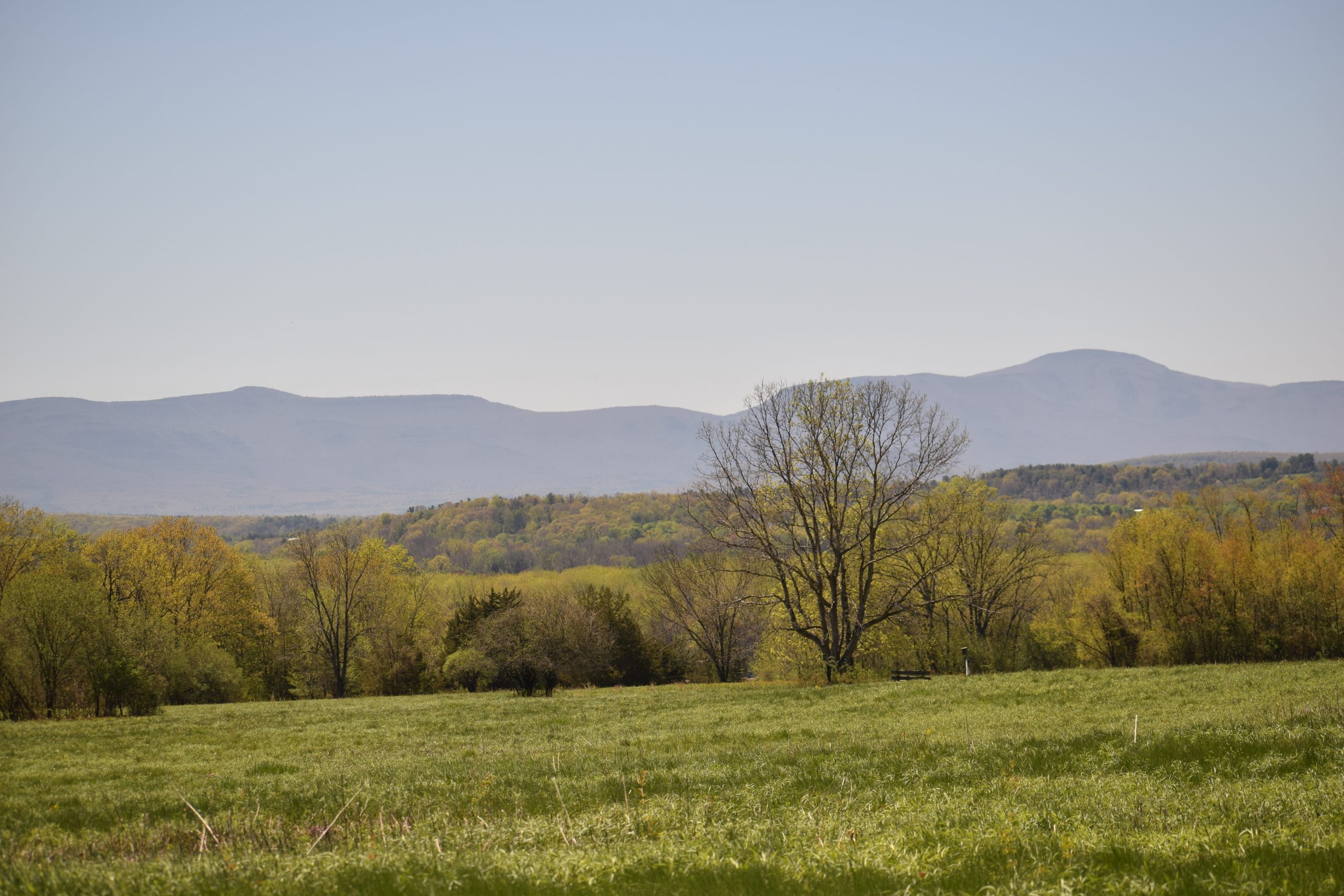 Greenport - Columbia Land Conservancy