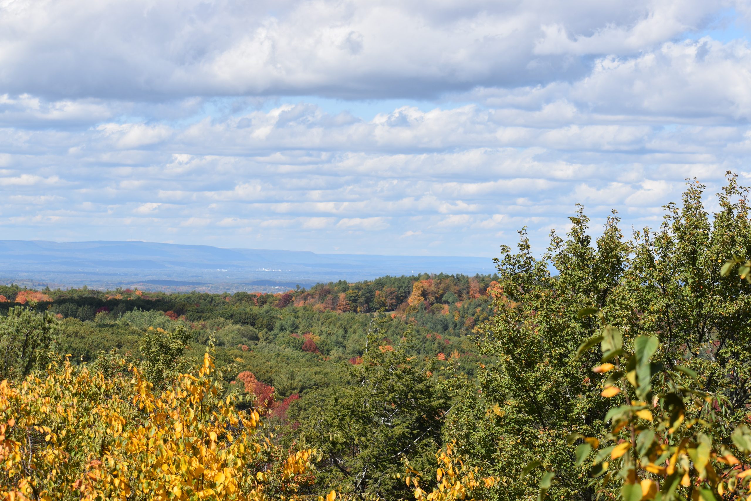 Schor - Columbia Land Conservancy