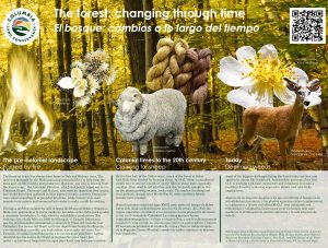 interpretive signage - forestry