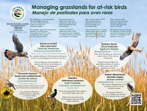 interpretive signage - grassland birds