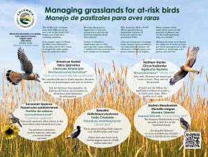 interpretive signage at ooms - grassland birds