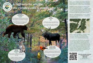 interpretive signage - wildlife