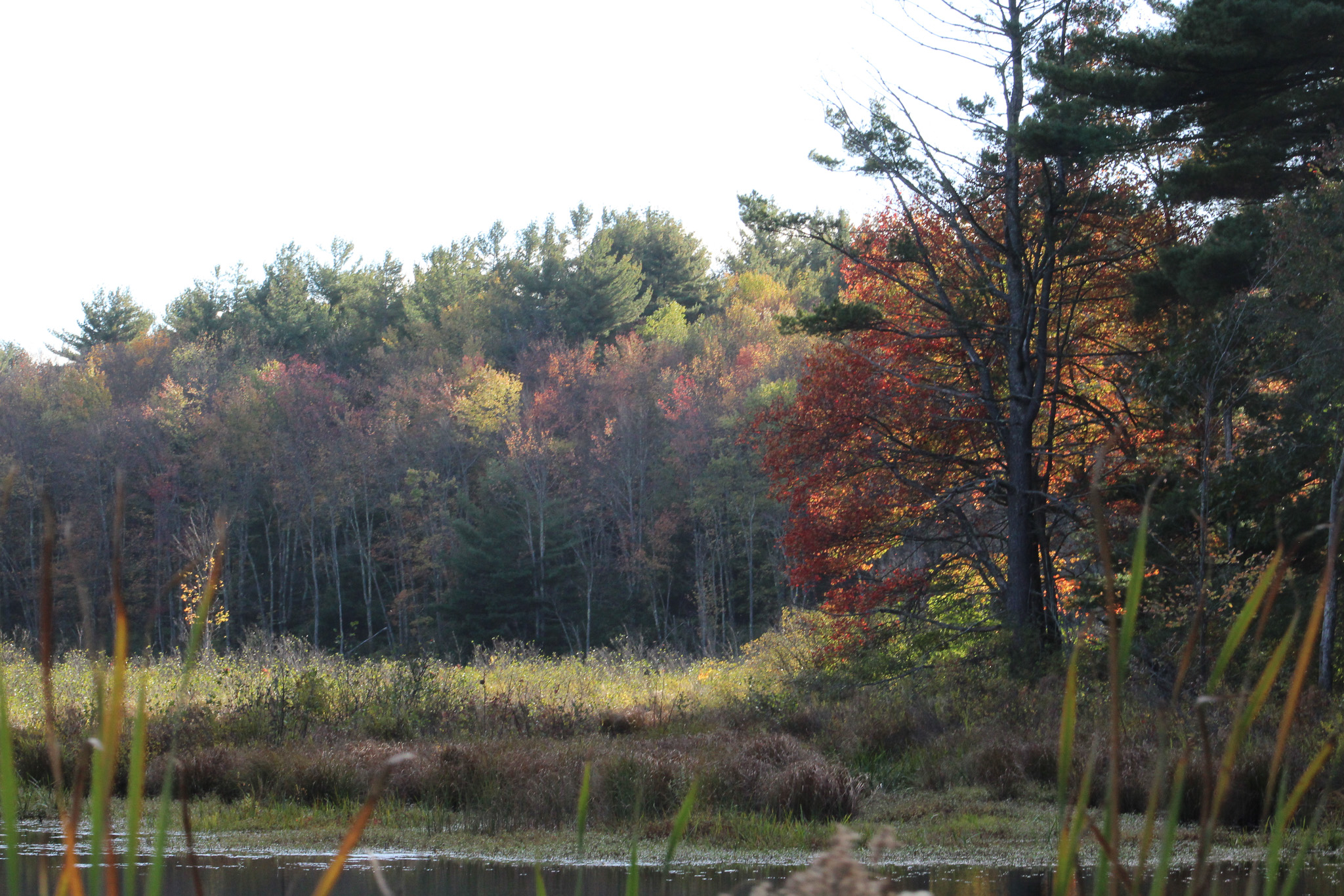 fall scene of hand hollow lake promotion for working wednesday at hand hollow