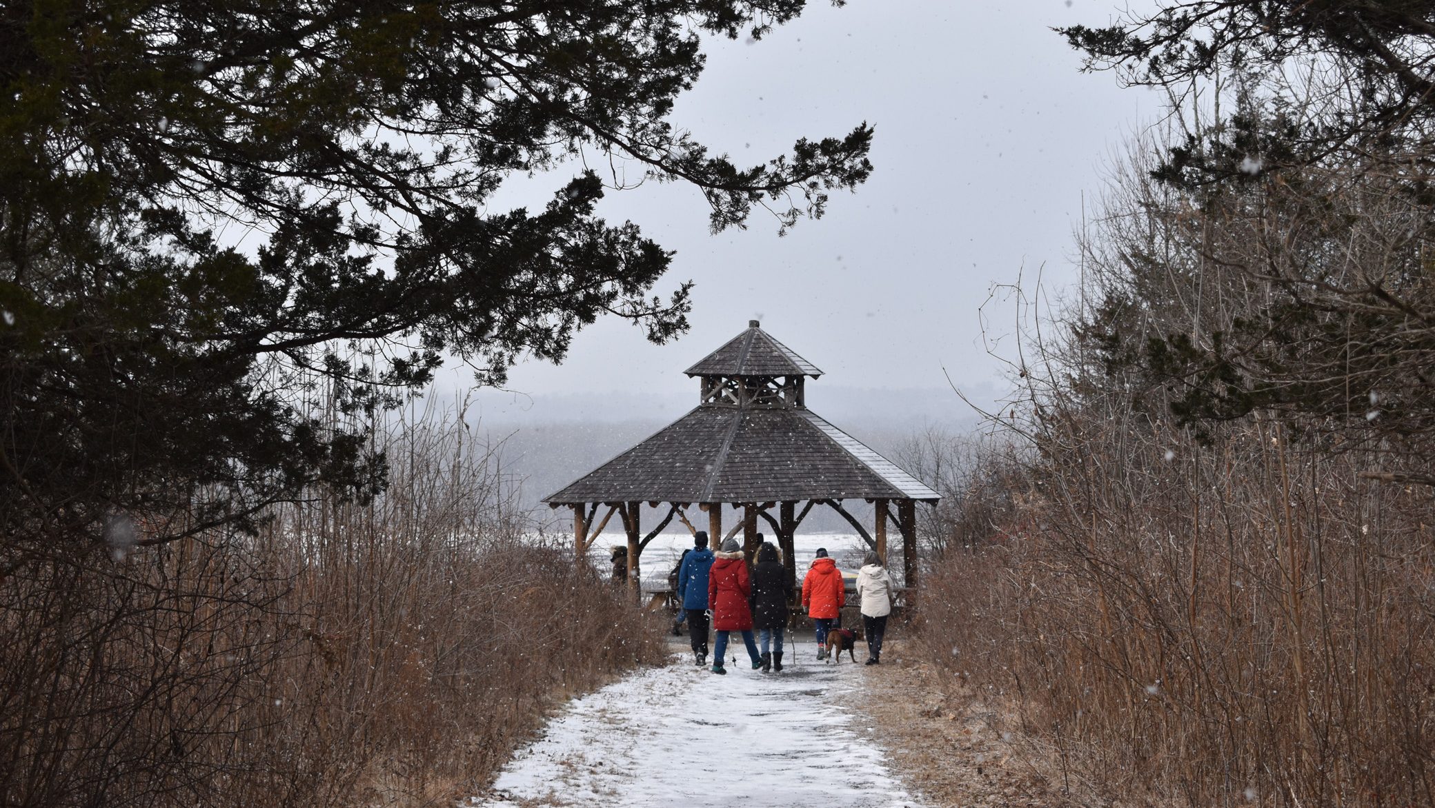 group of people walking down snowy path toward gazebo used for promotion of library walking club
