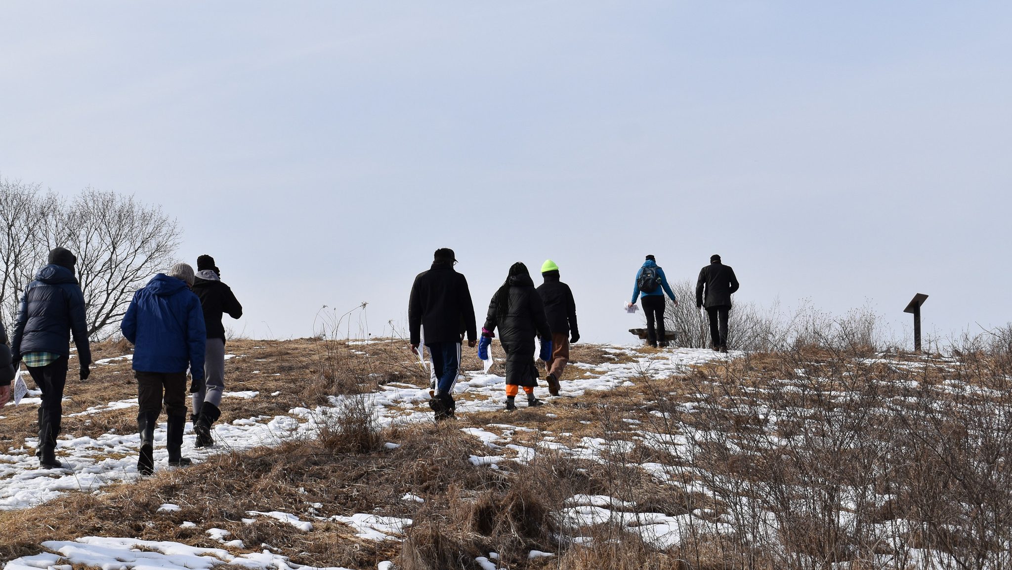 Group of people walking up a snowy hill with grass poking through used for promotion of library walking club