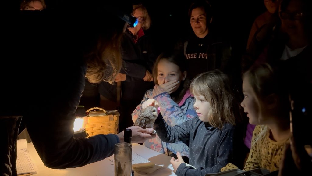 group of people of all ages huddle around three young girls, one reaching out to pet a saw-whet owl. Photo is taken at night and illuminated by headlamps, flash, and flashlights. used for promotion of owl banding spooktacular