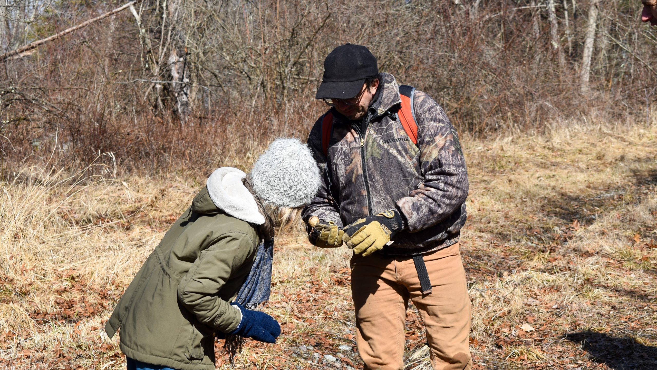child looks at insect gall held by an adult on grassy trail used for winter adaptation walk promo